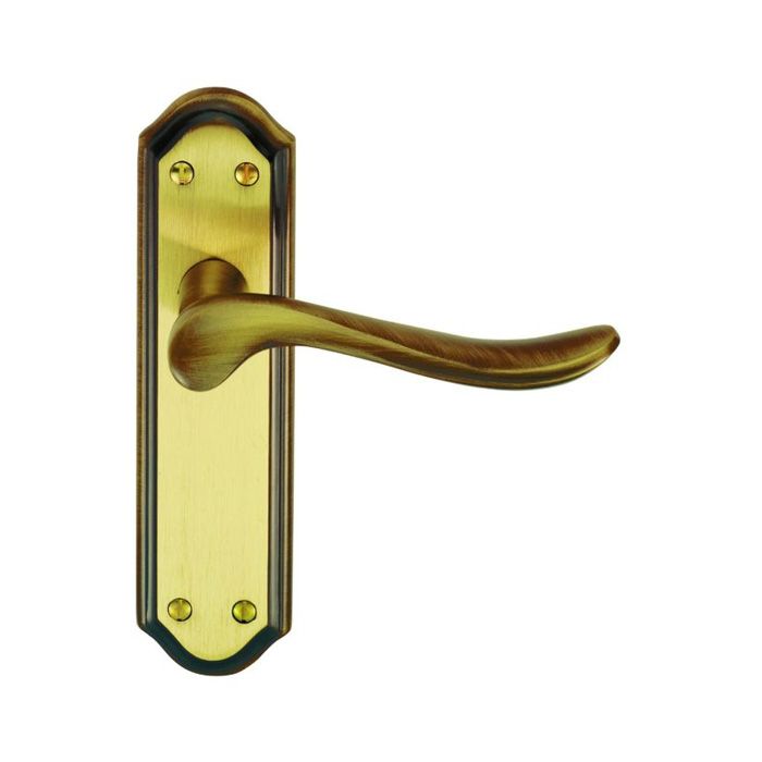 Carlisle Brass Lytham Door Handle on Backplate - Pair