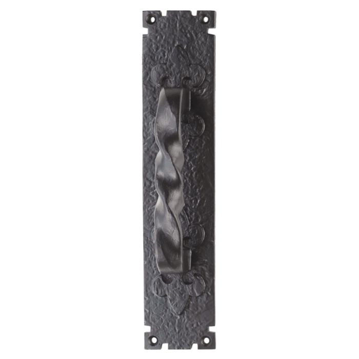 Carlisle Brass Barley Twist Pull Handle on Backplate