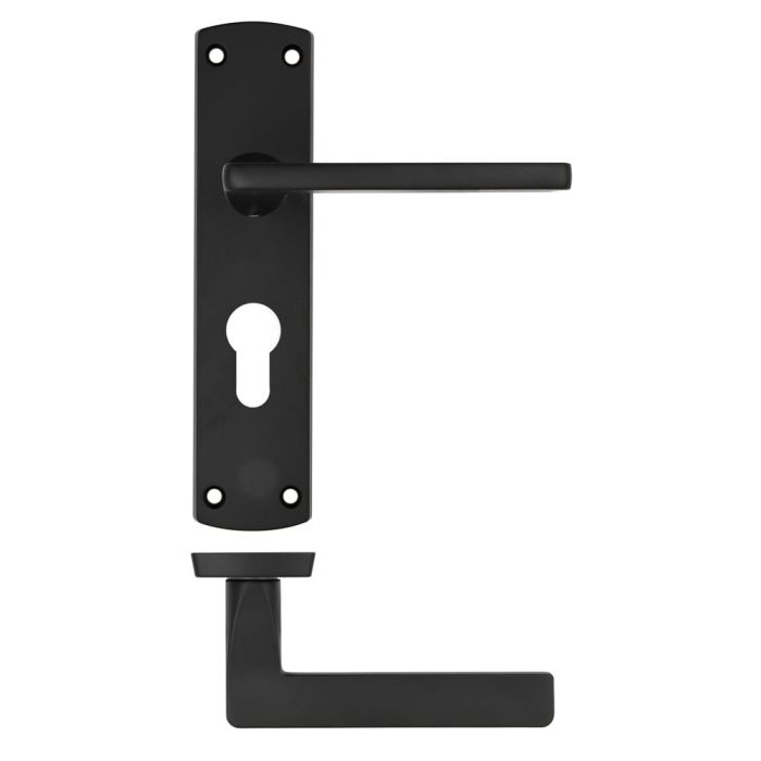 Zoo Hardware Stanza Leon Door Handle on Backplate - Pair